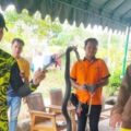Usai Digigit Ular, Anggota BPBD Balangan dan Polsek Paringin Tangkap Ular Kobra Sepanjang 1,5 Meter – Banjarmasin Post