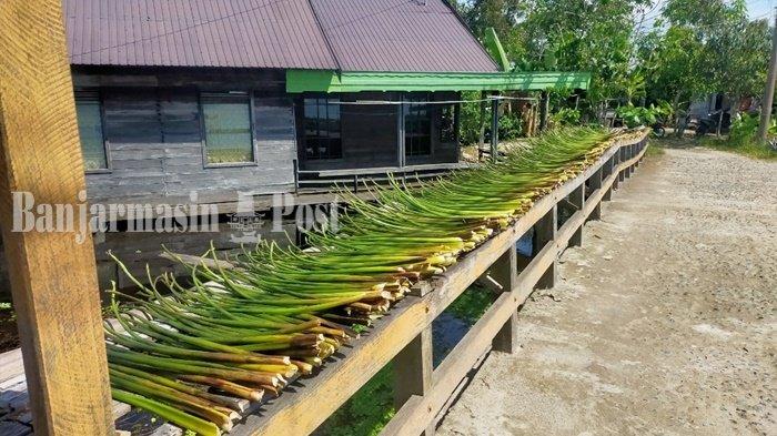 Mengumpulkan Rupiah dari Batang Eceng Gondok di Kabupaten Hulu Sungai Utara