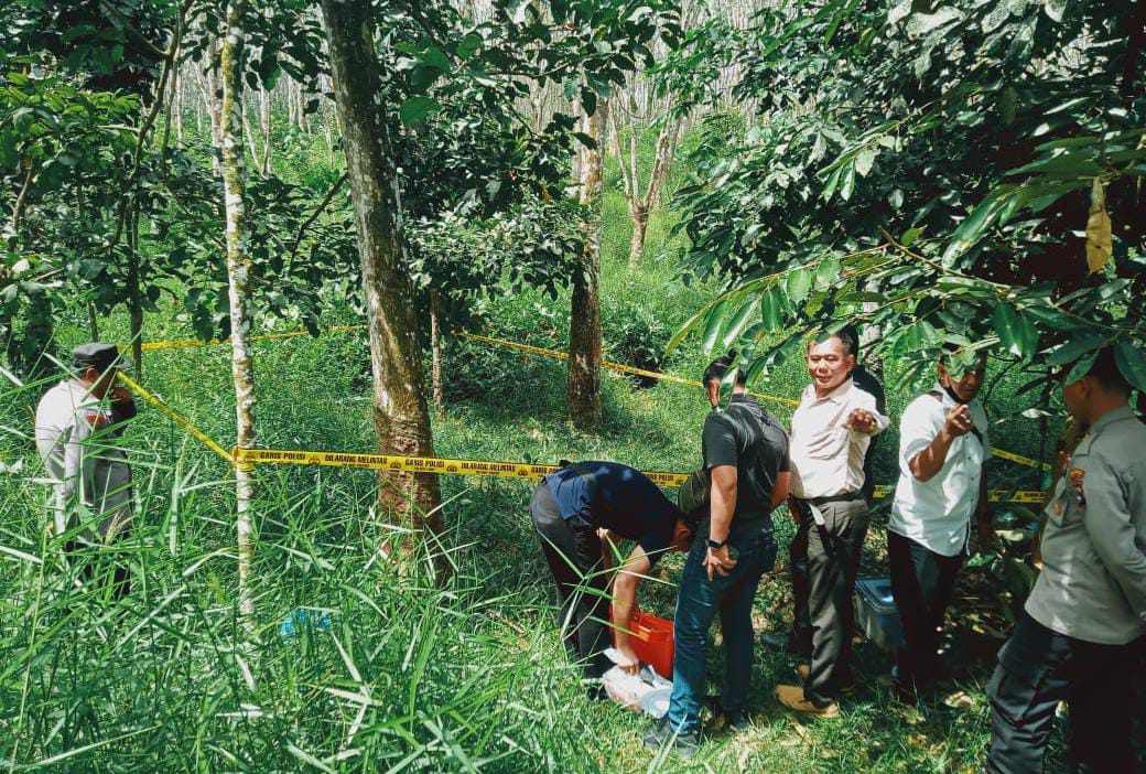 Warga Maburai Tabalong Geger, Mayat Pria Ditemukan Menggantung di Pohon Rambutan – koranbanjar.NET