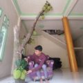 Viral Kemunculan Pohon Nangka Tumbuh di Sebuah Rumah di Balangan Kalsel, Begini Kisah Pemiliknya – Banjarmasinpost.co.id – Banjarmasin Post