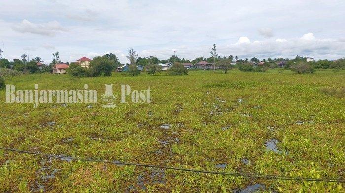 Hampir Seluruh Lahan Pertanian di Wilayah Kabupaten Hulu Sungai Utara Terendam