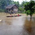 Siberut Langganan Banjir, Hutan Hulu Tergerus Dampaknya?