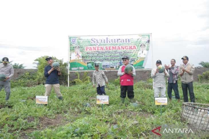 Bupati HSS mengapresiasi semangat warga untuk bercocok tanam tanpa mengenal musim – ANTARA Kalsel