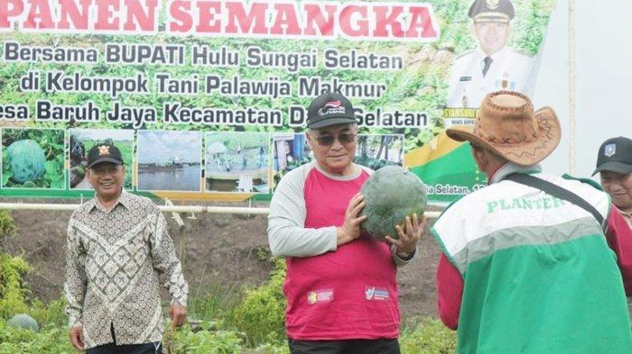 Bersama Panen Semangka, Bupati HSS H Achmad Fikry Apresiasi Semangat Anggota Koptan – Banjarmasin Post