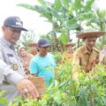 Plt Bupati HSU Optimis Mengembangkan Potensi Agrowisata di Desa Tayur