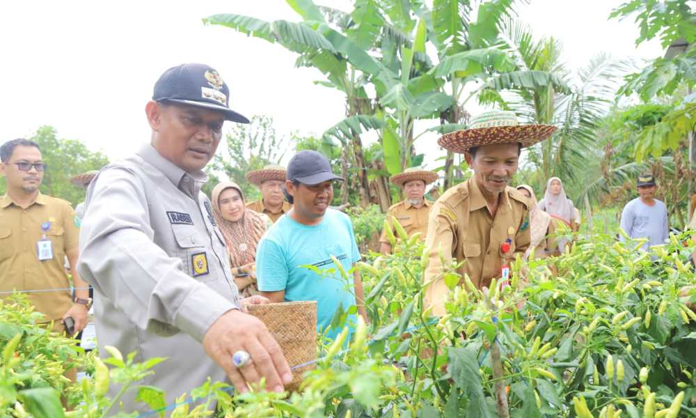 Plt Bupati HSU Optimis Mengembangkan Potensi Agrowisata di Desa Tayur
