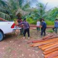 Dinas Kehutanan Kalsel Temukan Illegal Logging di Gunung Lintang Tanahlaut – Kalimantan Live