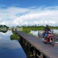 Jembatan di Bujur Jingah Kabupaten Hulu Sungai Utara Diperbaiki… – Pos Banjarmasin