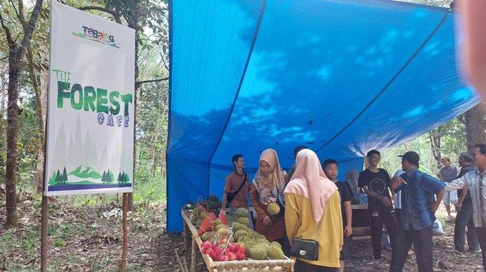 Wisata Kafe Durian di Tabalong Kalimantan Selatan, Pengunjung Bisa Menikmati Durian Jatuh dari Pohonnya