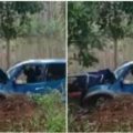 Kecelakaan Tunggal di Jalan Trans Kaltara, Mobil Dinas Sosial Dikemudikan Pemuda, Tabrak Pohon, Viral