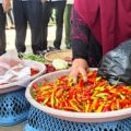Naik, Cabe di Pasar Tabalong “Lebih Pedas” |  Koran Kontras