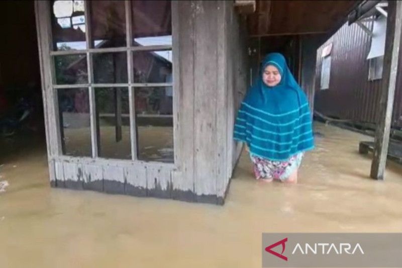 Sebanyak 4.663 rumah di hulu Kali Utara Kalsel terdampak banjir