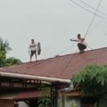 Viral Battle of Thieves dengan Rooftop Residents