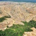Viral DPRD Samarinda Bakal Tutup Tambang Batu Bara Hingga 2026, Kata Ketua PBI Wartawan FRN