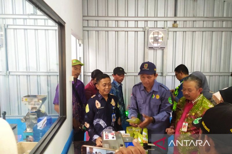 Jahe bangsal dari Kementerian Pertanian membantu petani di Tapin