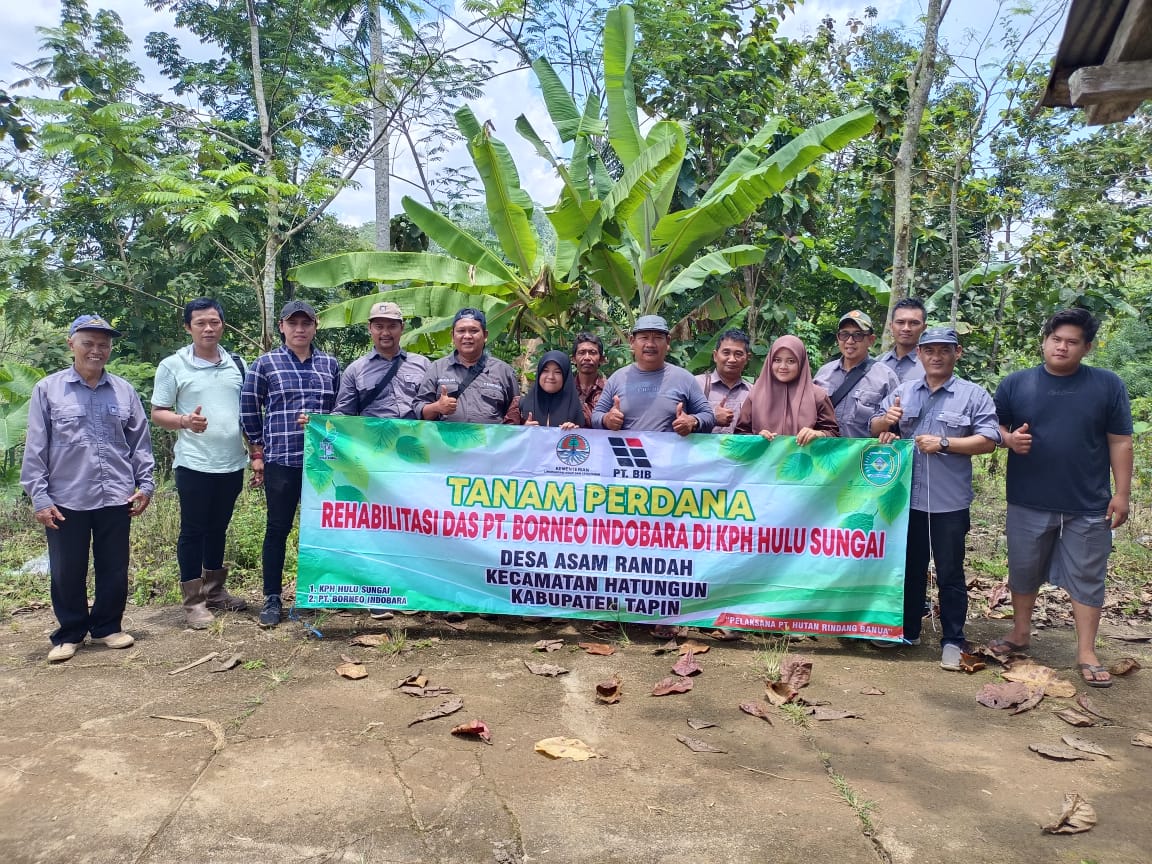 Rehabilitasi DAS PT Borneo Indobara di Kabupaten Tapin – koranbanjar.NET