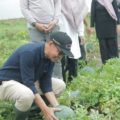 Terkendala Musim Hujan, Petani di Kabupaten Bajayau Hulu… – Banjarmasin Post