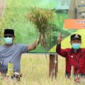 Tapin menawarkan solusi mengatasi inflasi pangan dan kebutuhan beras di Palangka Raya, Kalimantan Tengah