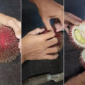 Durian Merah Khas Kalimantan Yang Mirip Rambutan Raksasa, Penasaran Selera Anda