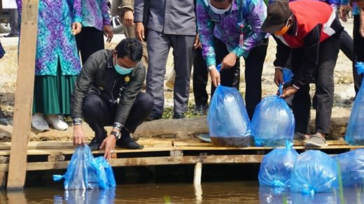 Lestarikan Ikan Khas Lokal, Pemkab Balangan Siapkan Lahan – Wartabanjar