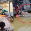 Viral Warga Batulicin Tangkap Ikan Pari Seukuran Satu, Netizen Tak Fokus Bahas Kutukan