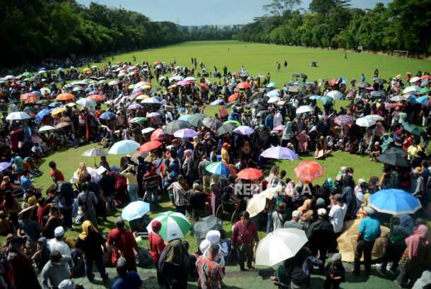 Pengobatan Ida Dayak dan Legenda Minyak Bintang