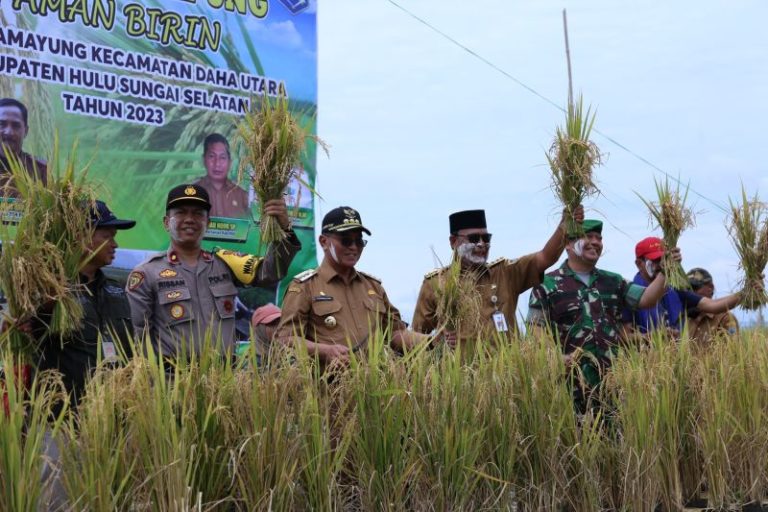 Bupati HSS dan Gubernur Kalimantan Selatan memanen dan merayakan nasi terapung