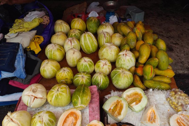 Buah “Bilungka Langlang” paling banyak dicari saat puasa